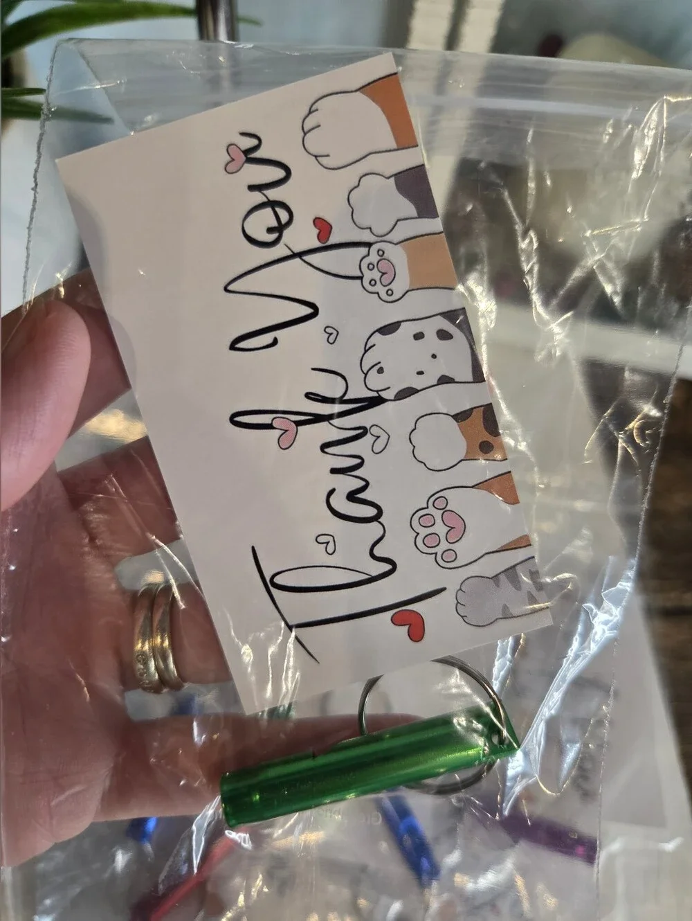 Set Of 10 Metallic Whistle Keychain & Thank You Card
